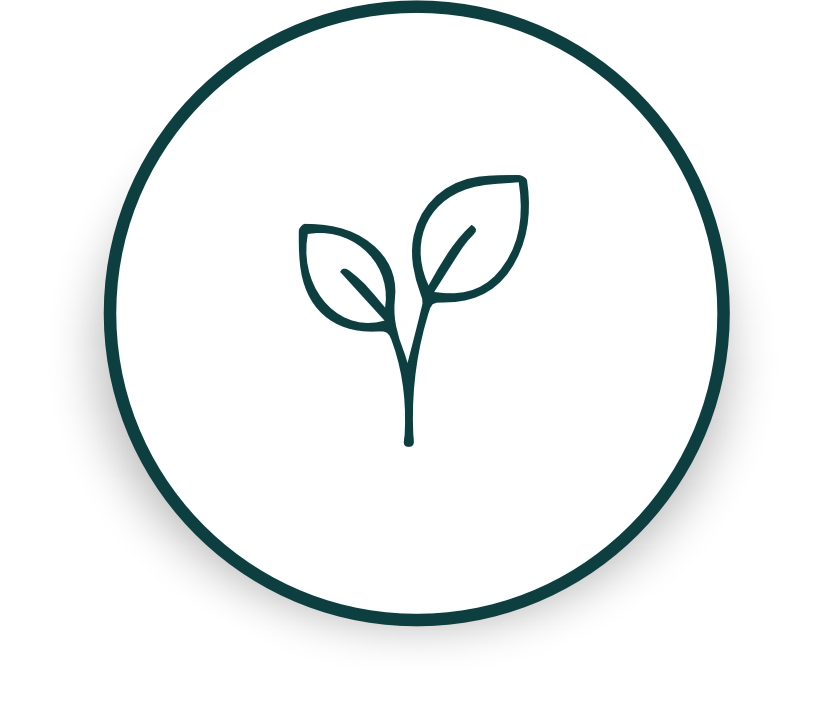 Alt Image